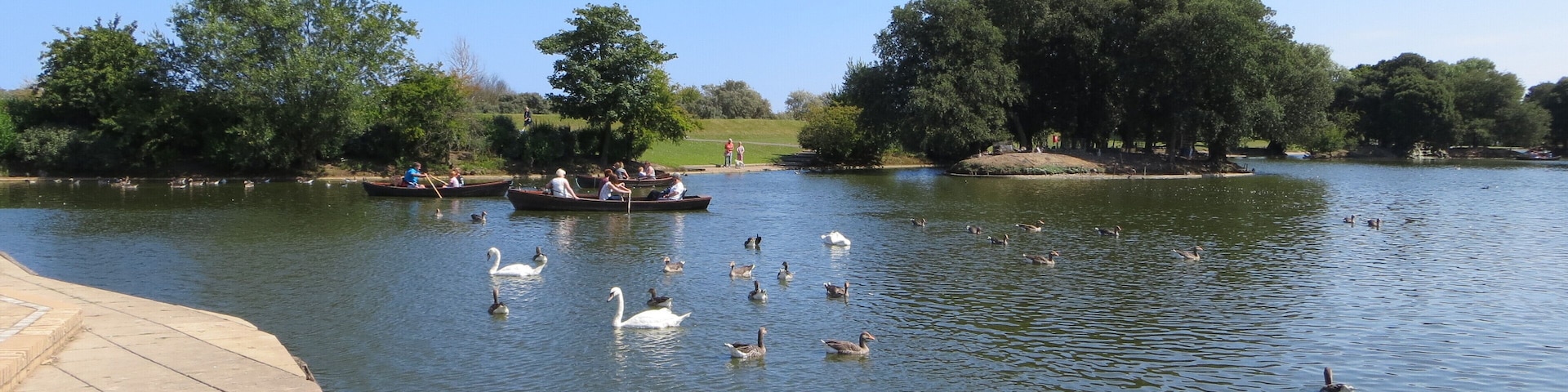 A calm lake with swans and ducks, boats, and a stone walkway.