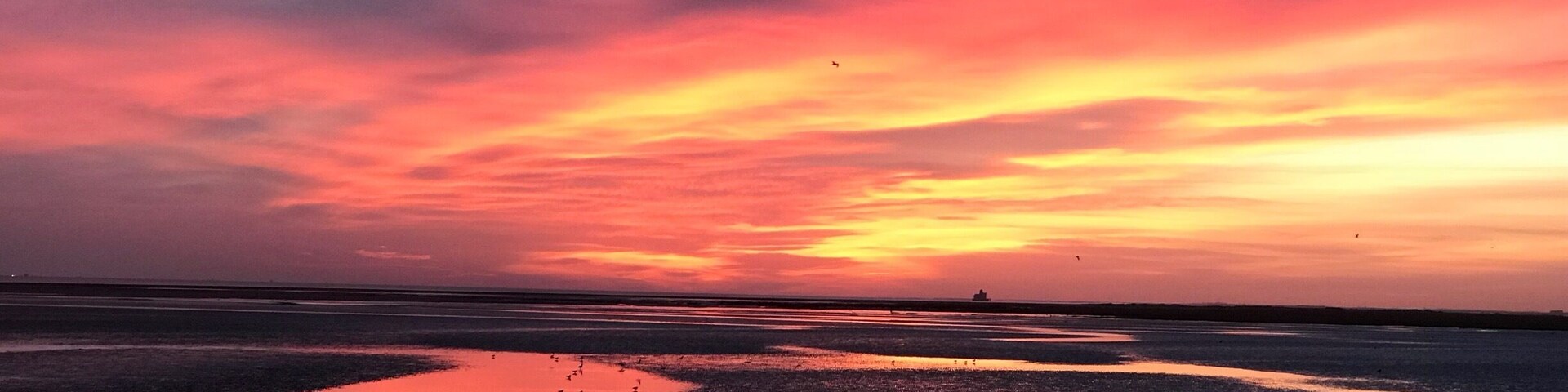 Gorgeous sunrise today over the Humber.