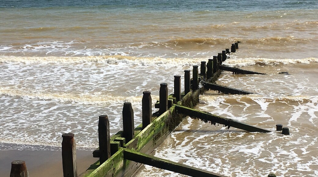 Beautiful sandy beach that goes on for miles and miles ☀️