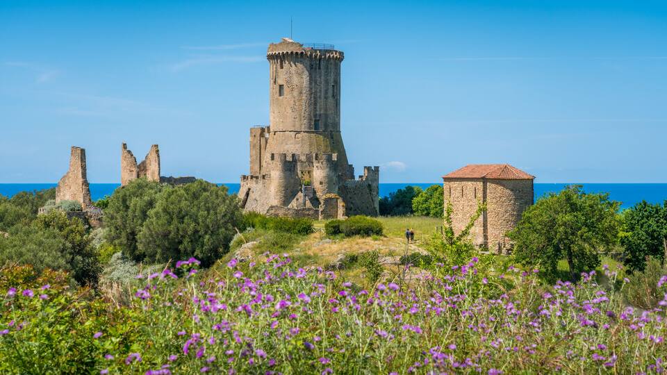 A historic castle with a prominent tower, surrounded by lush greenery and purple flowers.