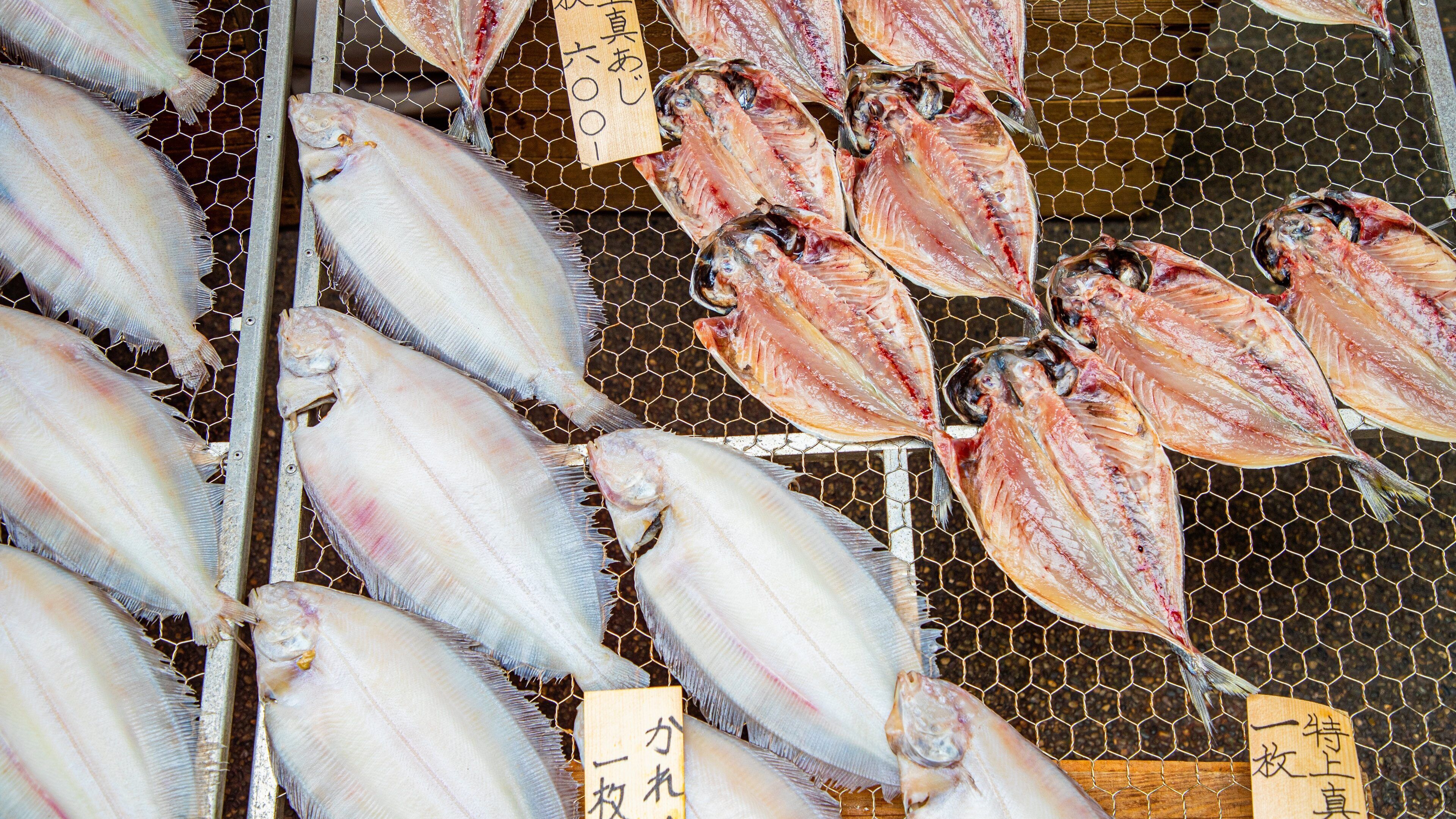 Atami which includes food