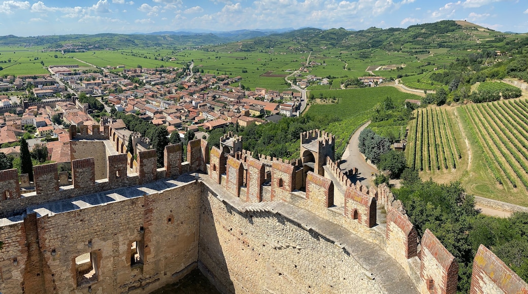 سان بونيفاسيو