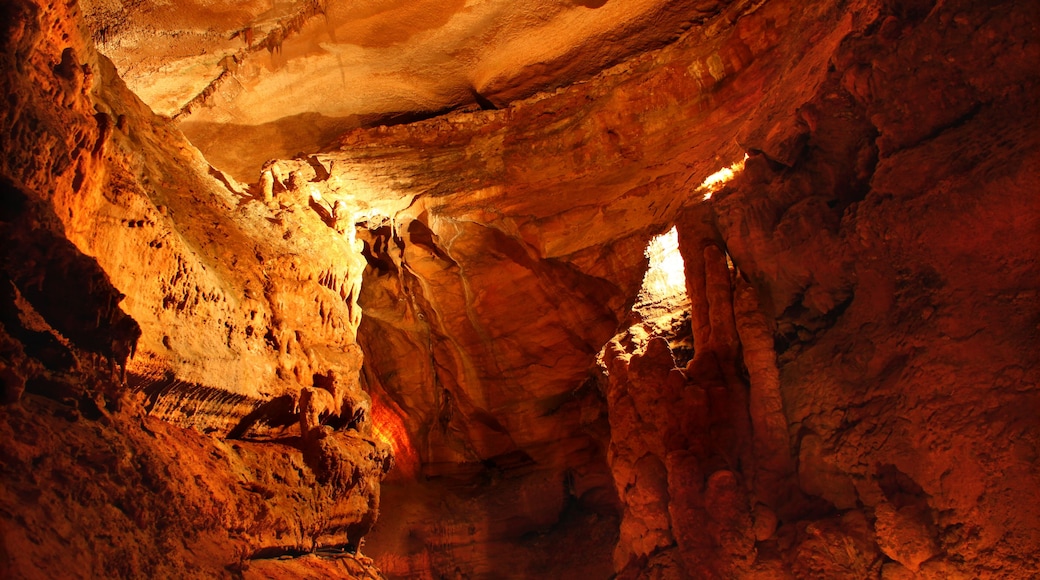 Cave formations seen in the Rickwood Caverns in Alabama