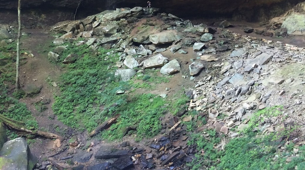 To give perspective of the size of the cliff, my daughter is in the middle of this picture. She is the tiny speck waving in the center of the pic sitting on the rocks.