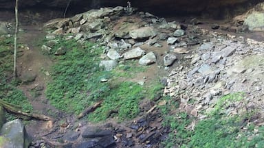 To give perspective of the size of the cliff, my daughter is in the middle of this picture. She is the tiny speck waving in the center of the pic sitting on the rocks.