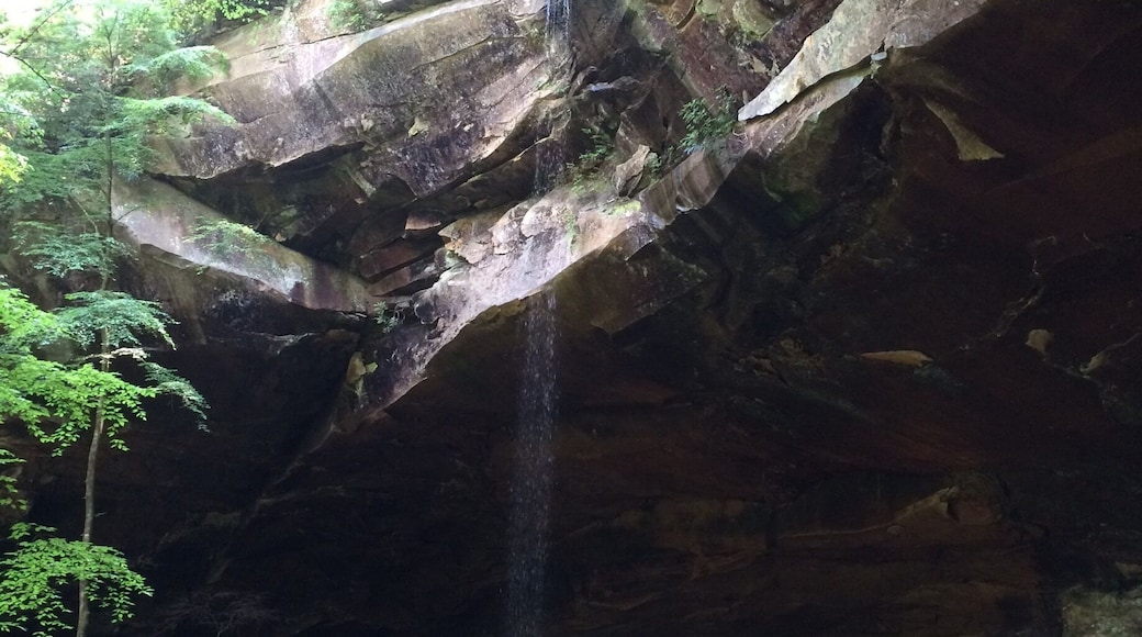Reduced to barely more than a trickle when there hasn't been a lot of rain, Yahoo Falls is the tallest waterfall in Kentucky.