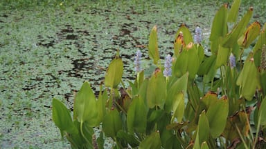 This is a photo of a monument which is part of cultural heritage of Italy. This monument participates in the contest Wiki Loves Monuments Italia 2012. See authorisations.