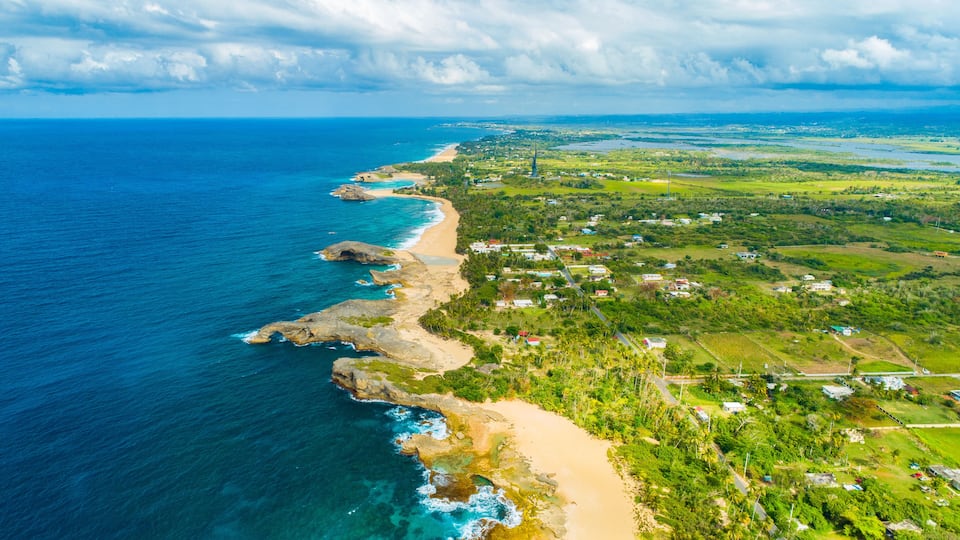 A coastal landscape with a beach, rocky shoreline, and a mix of greenery and buildings.