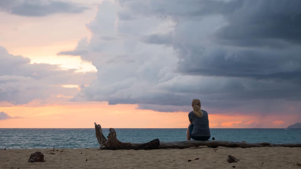 A person sitting on a log by the ocean during sunset.