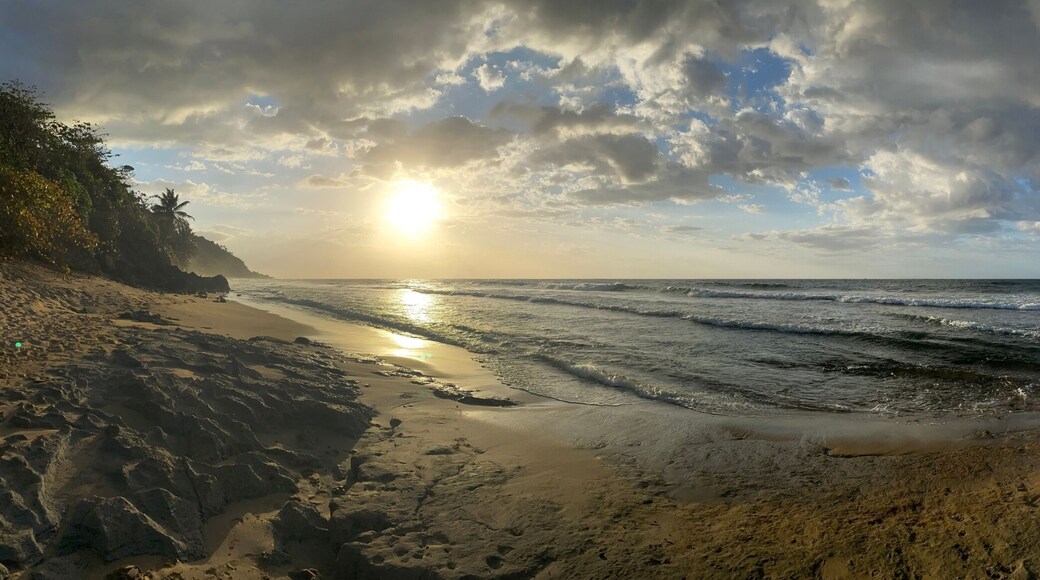 Wide angle view of beach Rincon PR