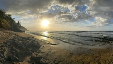 Wide angle view of beach Rincon PR
