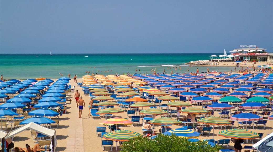 Cattolica which includes a sandy beach and general coastal views