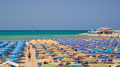 A crowded beach with numerous colorful umbrellas and beach chairs.