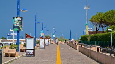 Um calçadão costeiro com postes de luz azuis, placas informativas e um caminho amarelo.