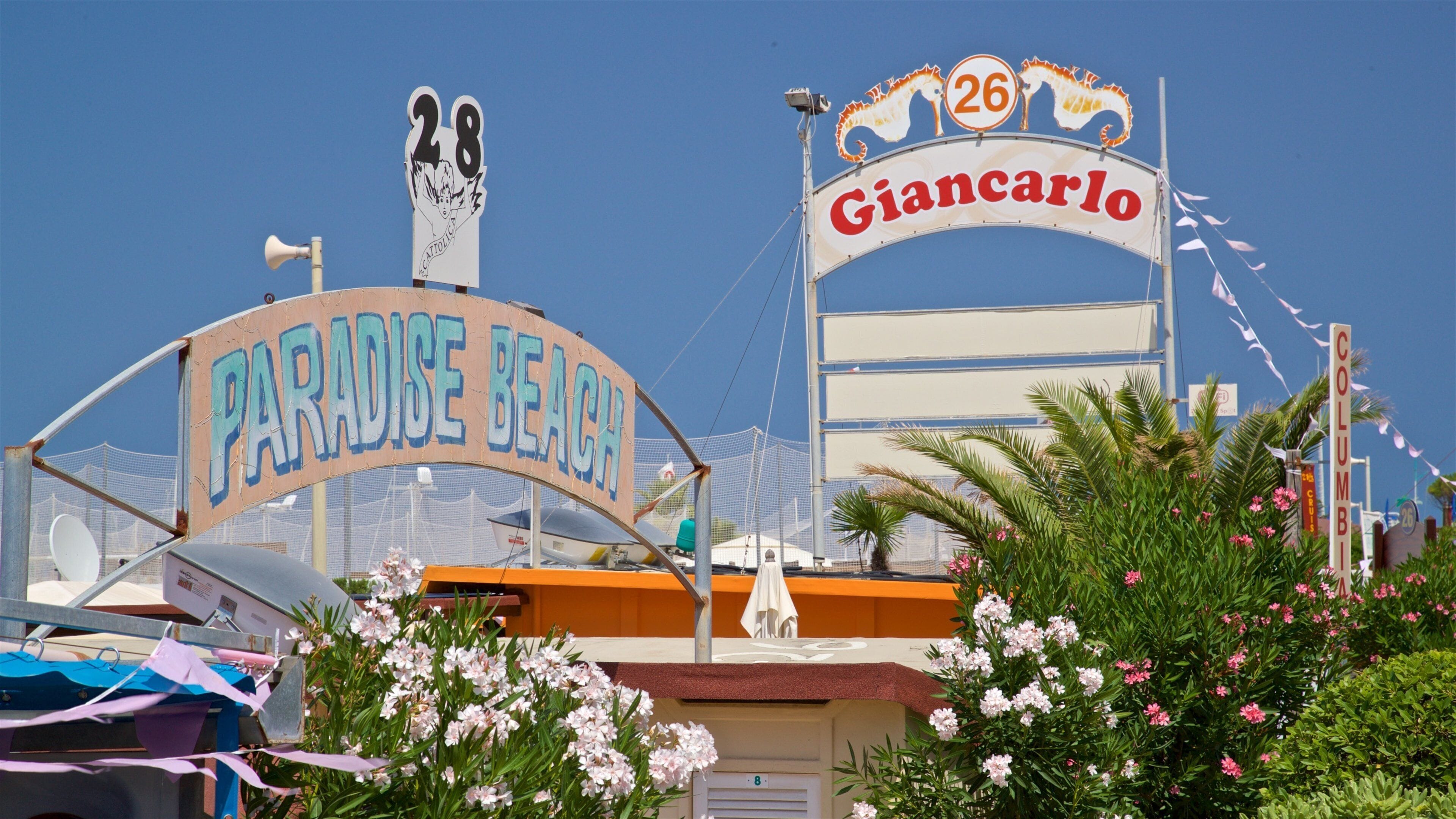 Cattolica showing wildflowers and signage