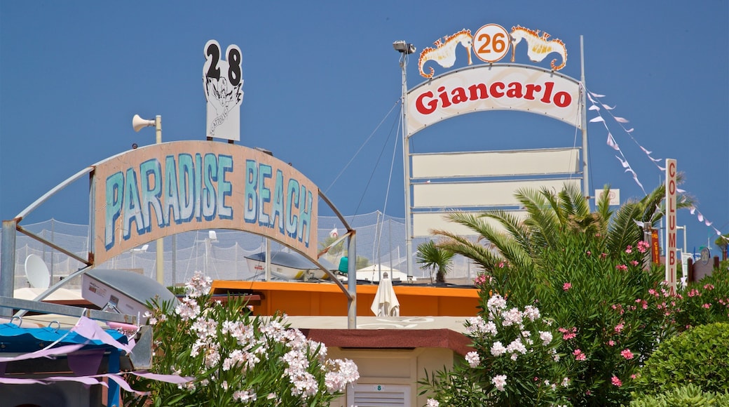 Cattolica showing wildflowers and signage