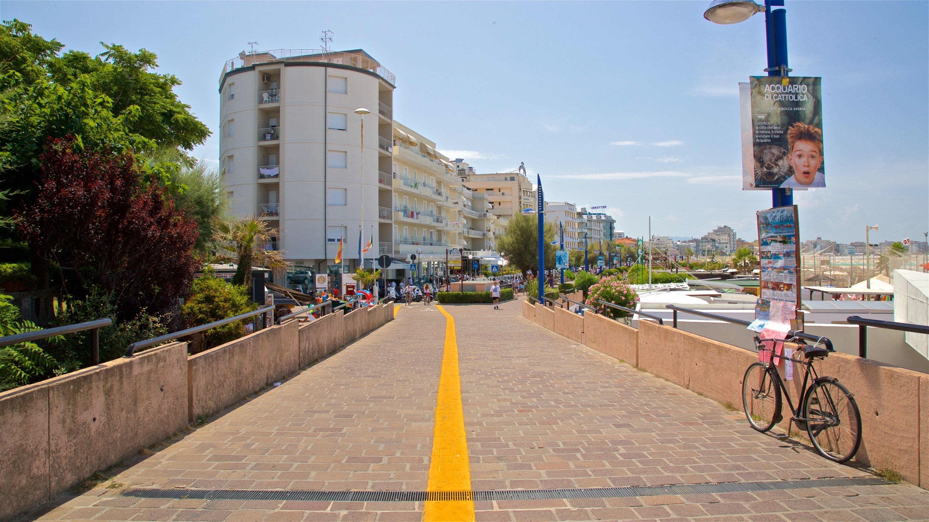 Cattolica