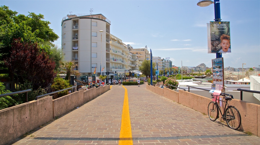 Cattolica