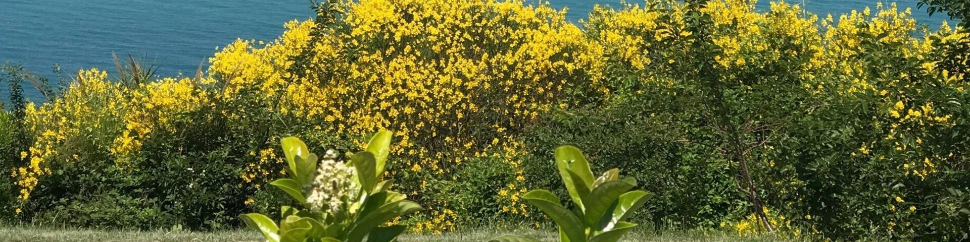 Along the green coast road nearby Gabicce Mare, The Marche, Italy
