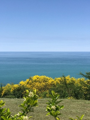 Along the green coast road nearby Gabicce Mare, The Marche, Italy
