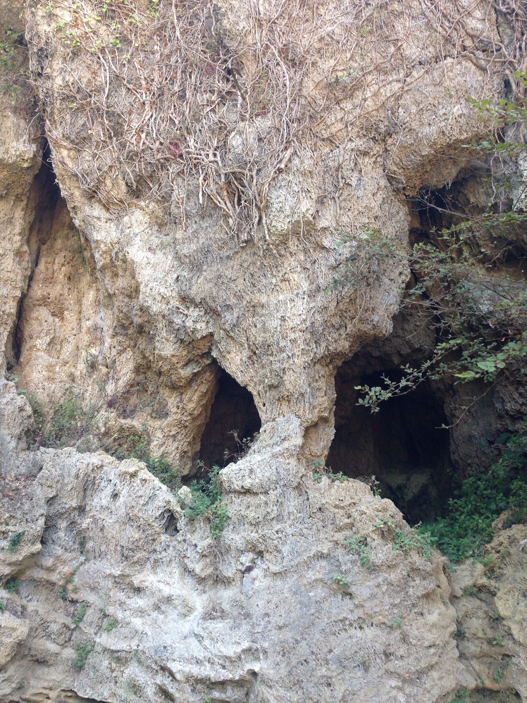 Caves 
