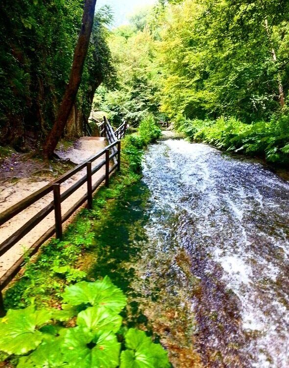 Happiness is keep in touch with nature🍀
#nature #green #tree #happiness #sun #yoga