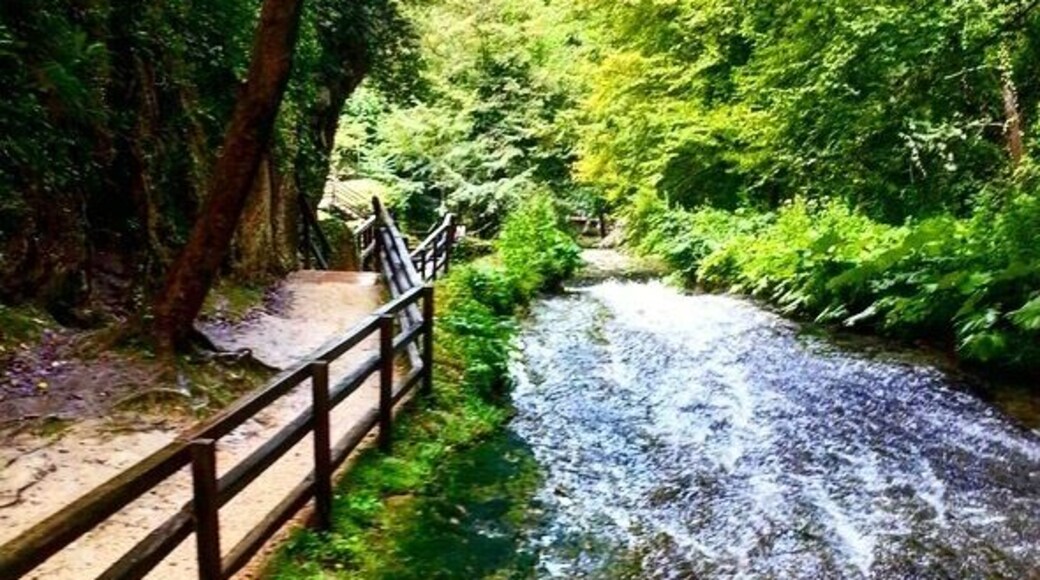 Happiness is keep in touch with nature🍀
#nature #green #tree #happiness #sun #yoga