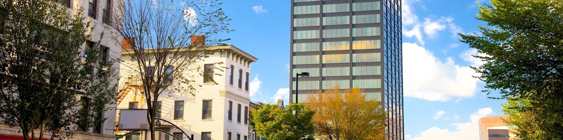 A city street with historic buildings, a modern skyscraper, and parked cars.