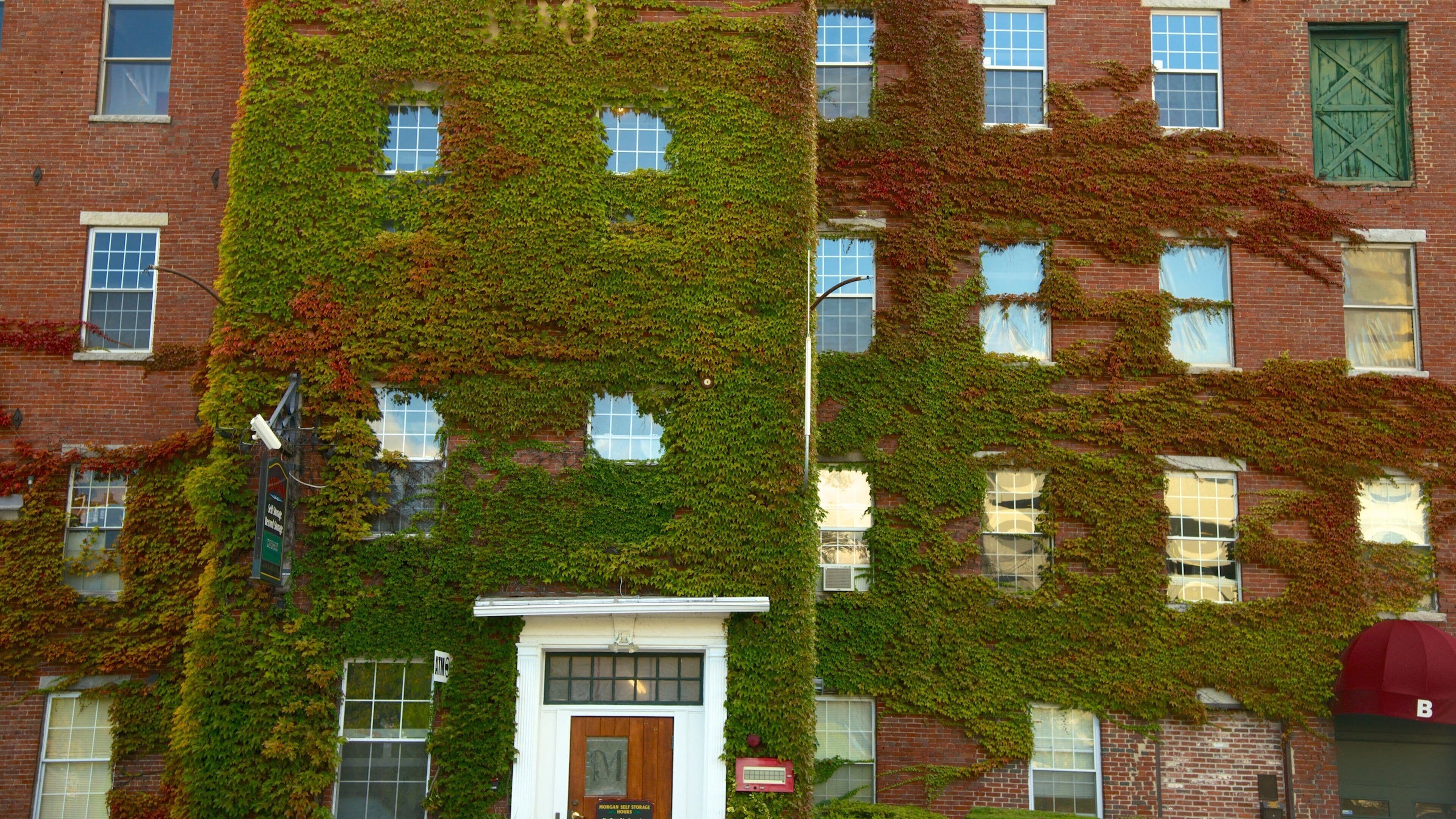 Manchester og byder på et hus