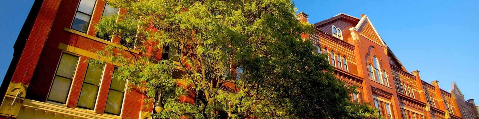 Manchester which includes a city