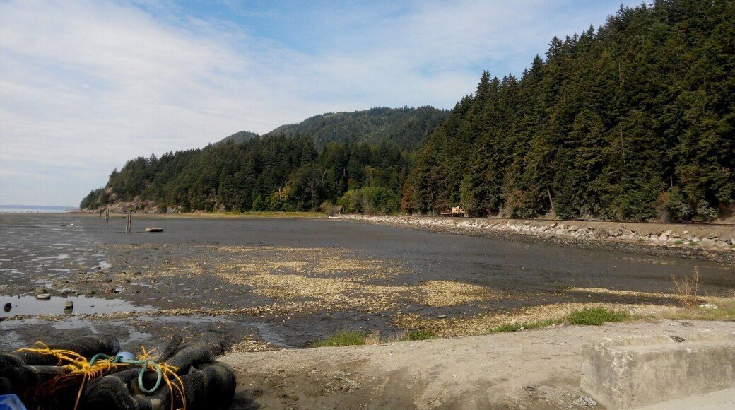 This shellfish farm is just off of Chuckanut Dr. The Amtrak train that runs along the PNW goes right by. You can buy oysters individually and shuck them on the spot to enjoy. The "beach" area where people enjoy the seafood is made up of empty, broken shells. Half the fun is tossing the shells on the floor!
