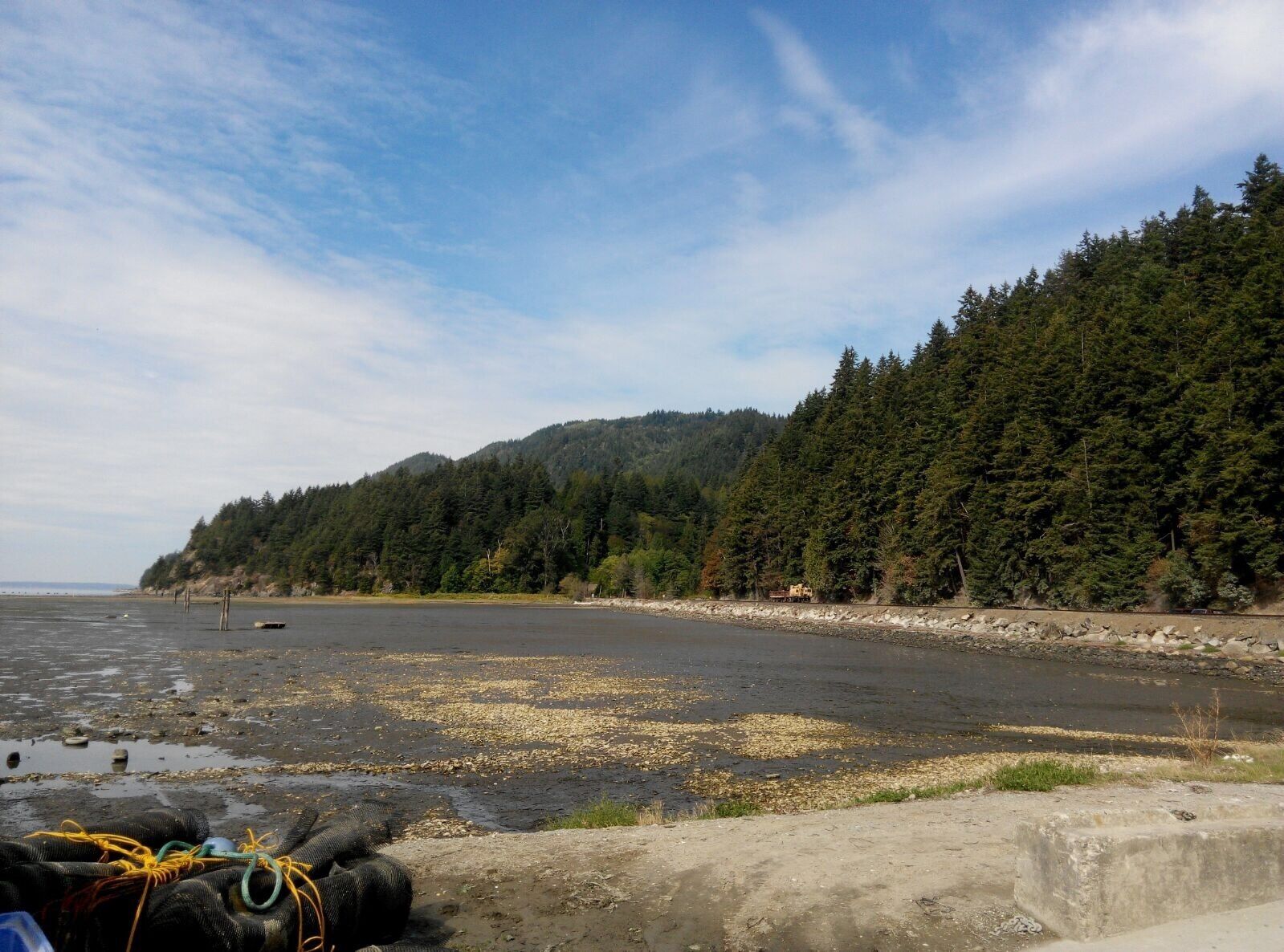 A beach with a forested hillside in the background.