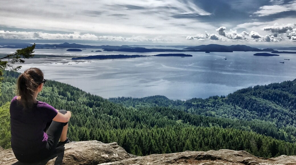 Summit of Oyster Dome trail. Beautiful moderate hike near Bellingham, 6 miles and 2,000ft elevation gain...
#TakeAhike