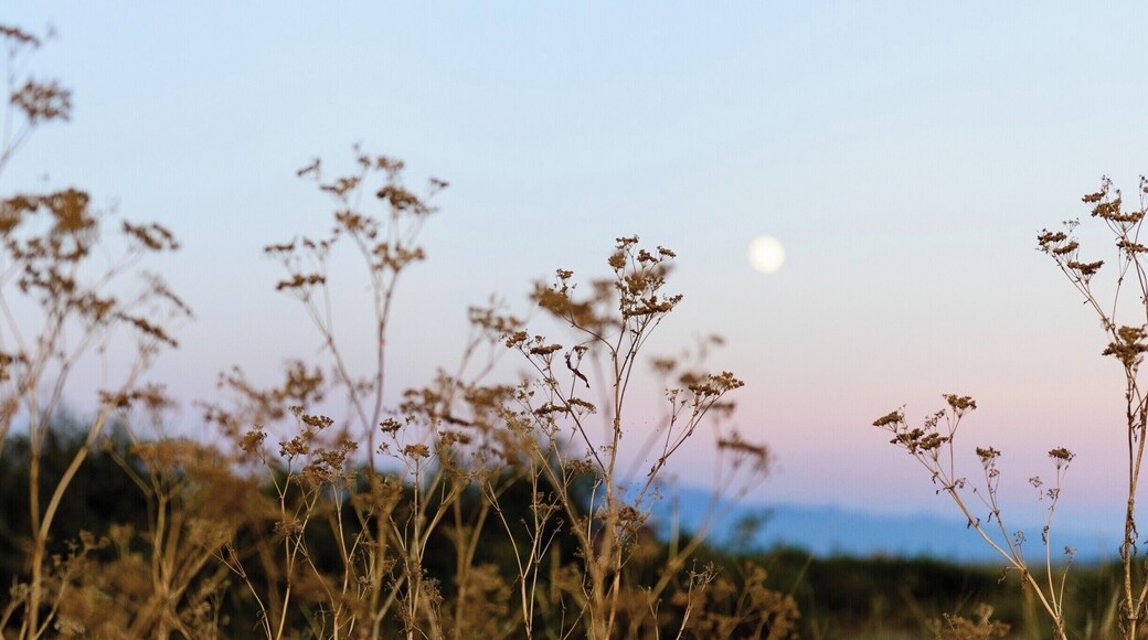 We visited this island during a summer science camp.