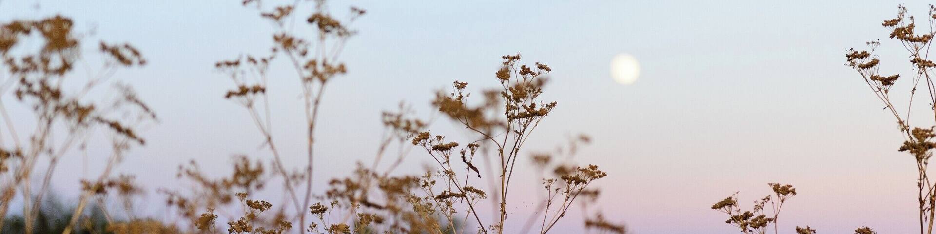 We visited this island during a summer science camp.