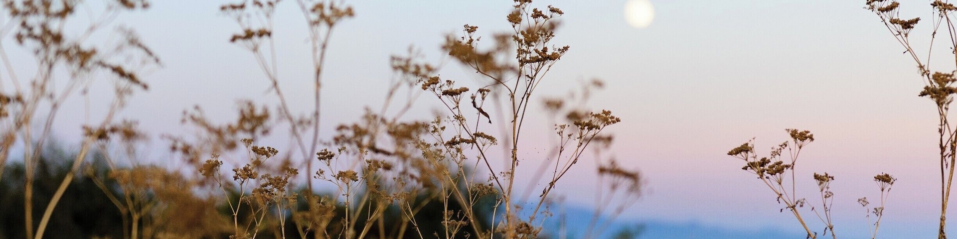 We visited this island during a summer science camp.