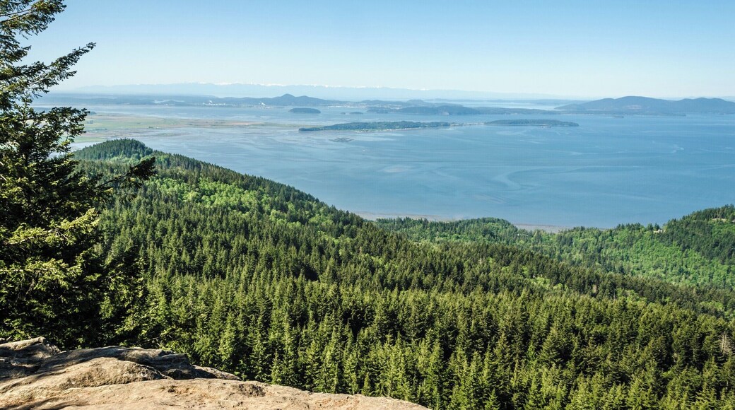 Oyster Dome viewpoint
#Green #lifeatexpedia #GreatOutdoors #TakeAHike #Nature