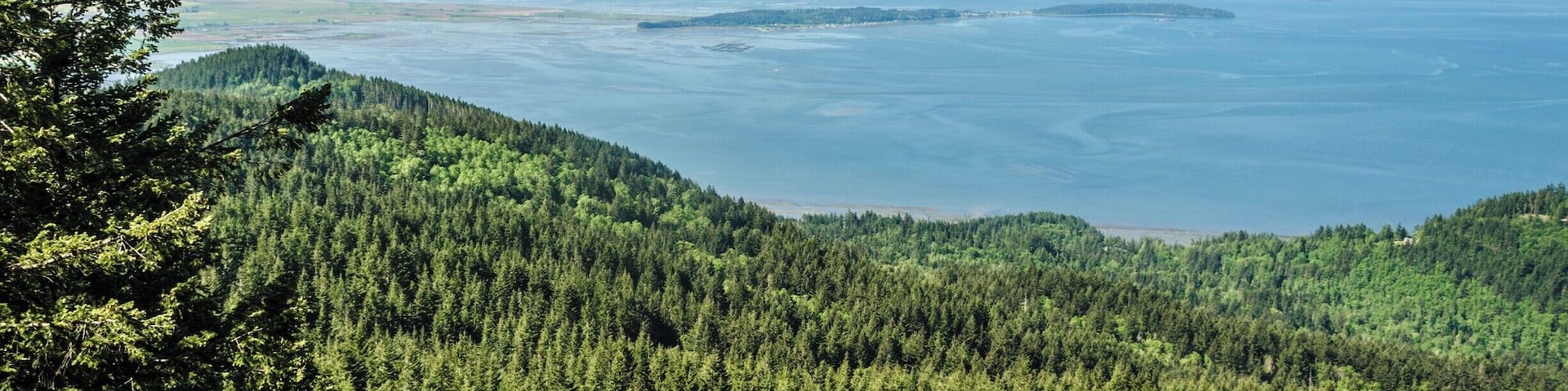 Oyster Dome viewpoint
#Green #lifeatexpedia #GreatOutdoors #TakeAHike #Nature