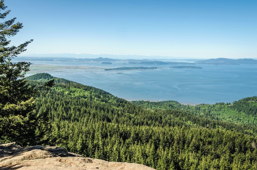Oyster Dome viewpoint
#Green #lifeatexpedia #GreatOutdoors #TakeAHike #Nature