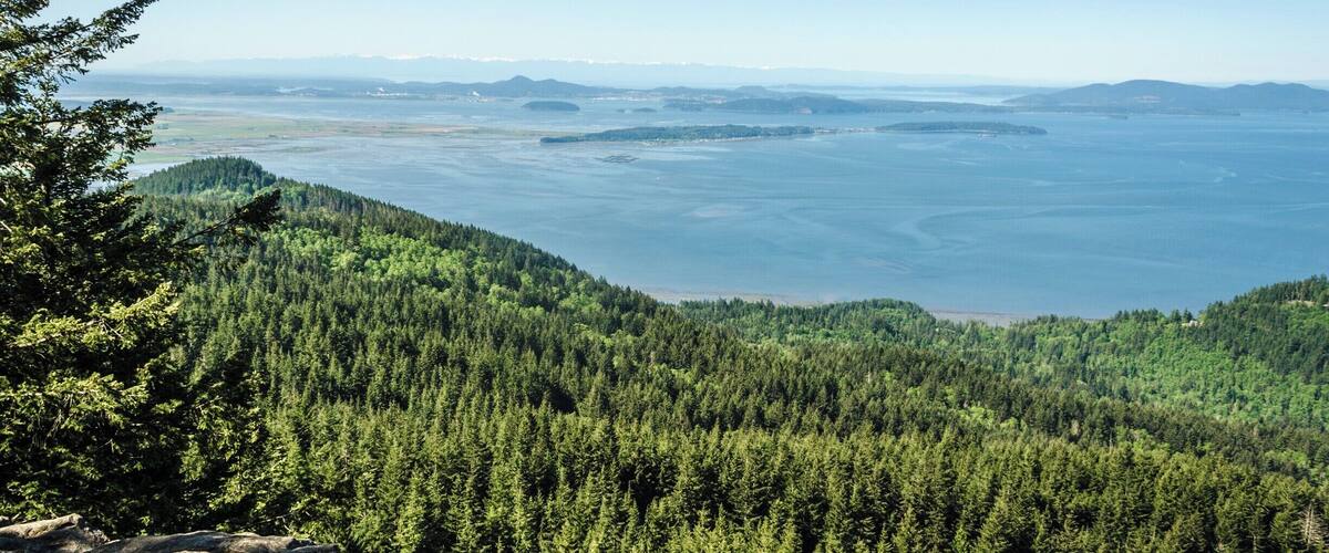 Oyster Dome viewpoint
#Green #lifeatexpedia #GreatOutdoors #TakeAHike #Nature