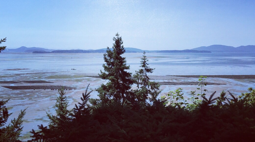 Once a roadside oyster shack, The Oyster Bar on scenic Chuckanut drives offers an amazing selection of local and regional raw oysters and other seafood. The food is fantastic, and so is the view! #food #seafood #washington