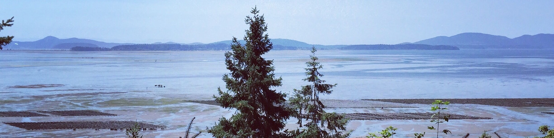 Once a roadside oyster shack, The Oyster Bar on scenic Chuckanut drives offers an amazing selection of local and regional raw oysters and other seafood. The food is fantastic, and so is the view! #food #seafood #washington