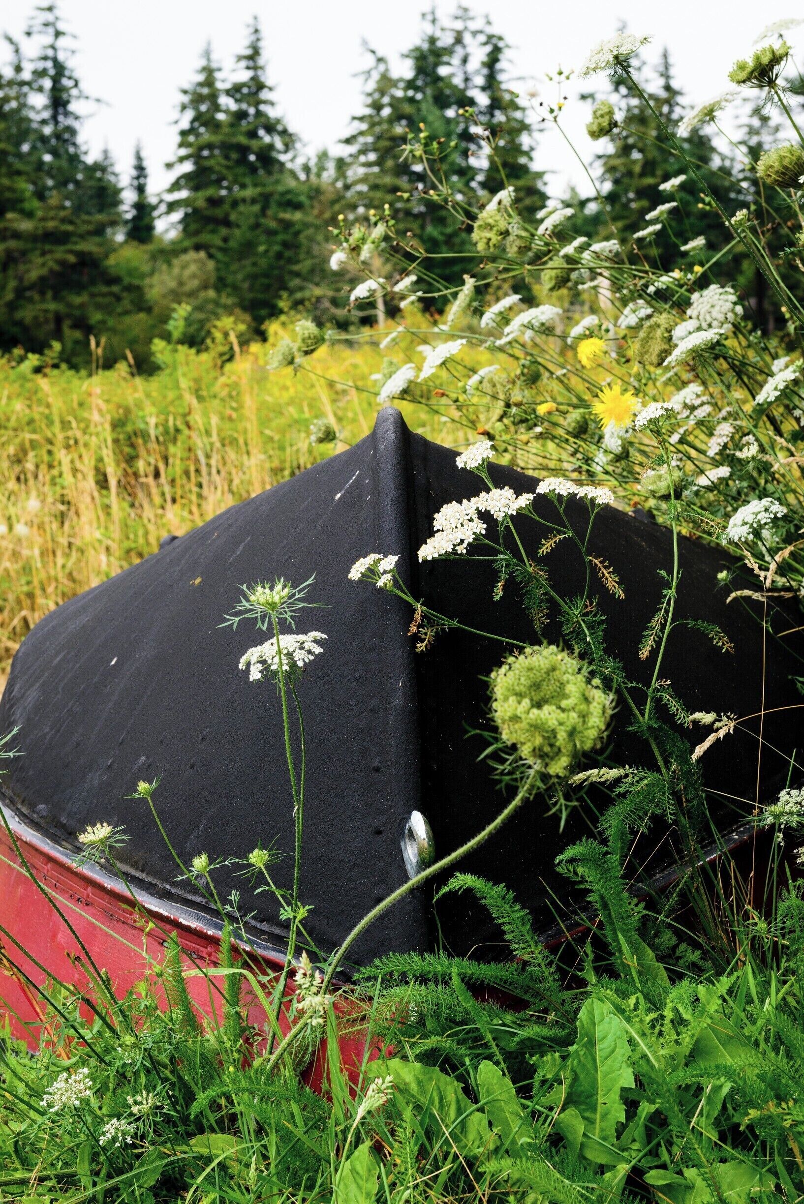 I took this during a summer science camp.