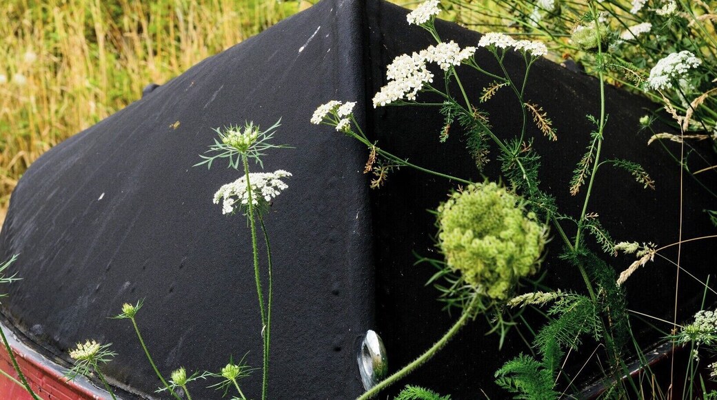 I took this during a summer science camp.