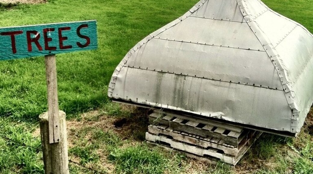 Unusual metal object in a tree farm that caught my eye. Looks like top of a steeple. If you know what this is, please comment.