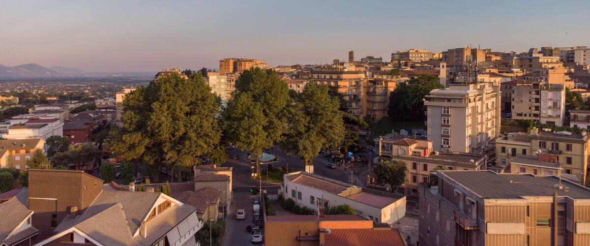 A cityscape with dense urban buildings, a prominent tree-lined street, and distant mountains.