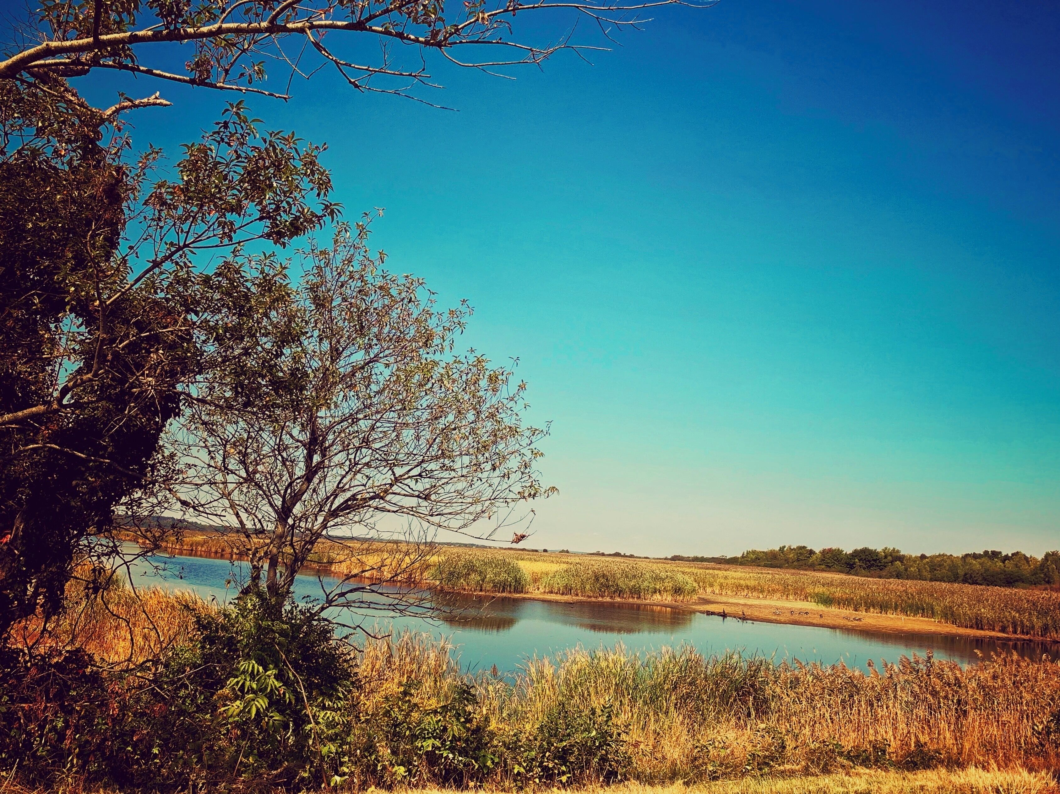 Browsing in the wild

#nature