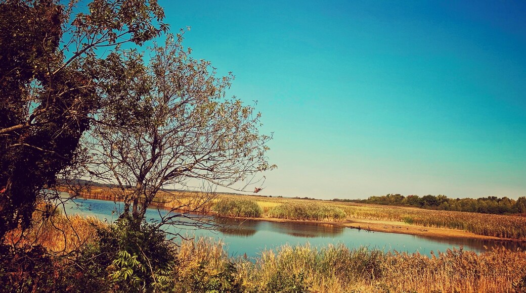 Browsing in the wild
#nature