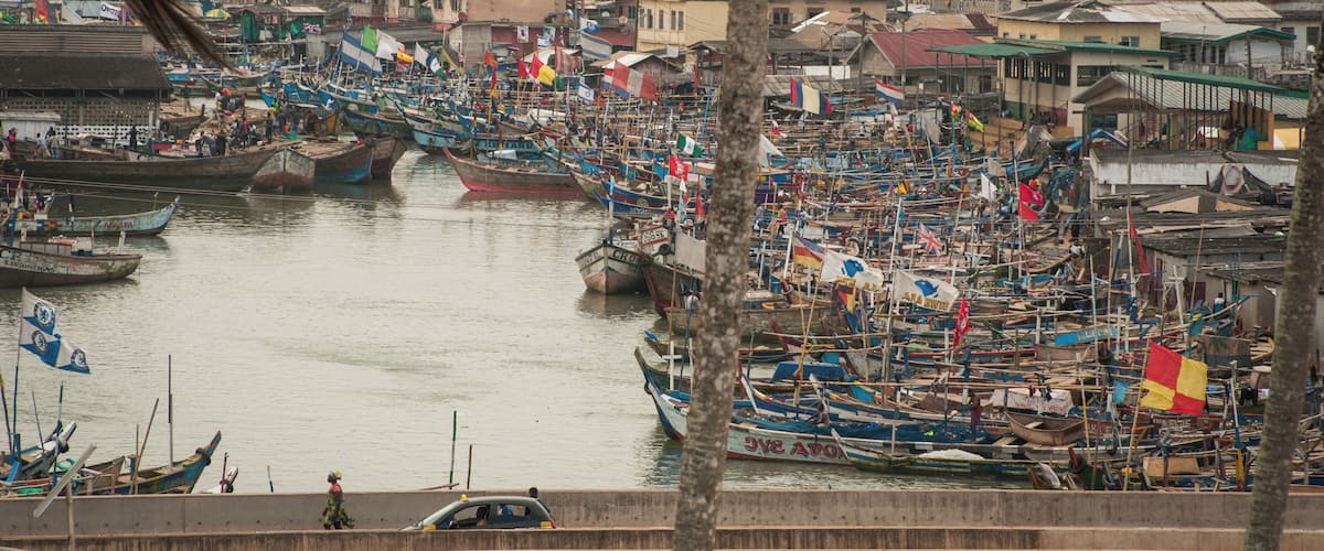 A densely packed harbor with numerous boats and flags, surrounded by buildings and palm trees.