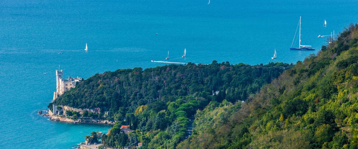 A coastal landscape with a castle, sailboats, and dense forest.